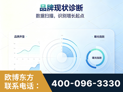 耒阳-品牌现状诊断