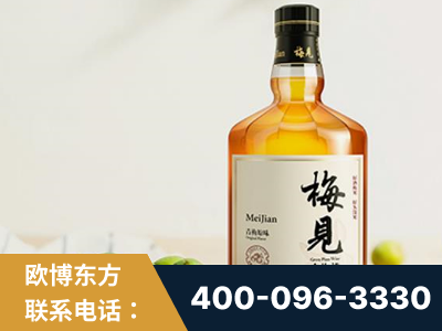 耒阳-梅见青梅酒