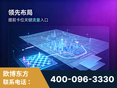 耒阳-领先布局：于2024年初开启GEO业务的公司